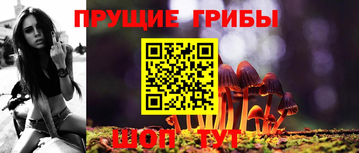 Чистополь  Псилоцибиновые грибы Psilocybine cubensis  Псилоцибиновые грибы прущие грибы  Вход с VPN 