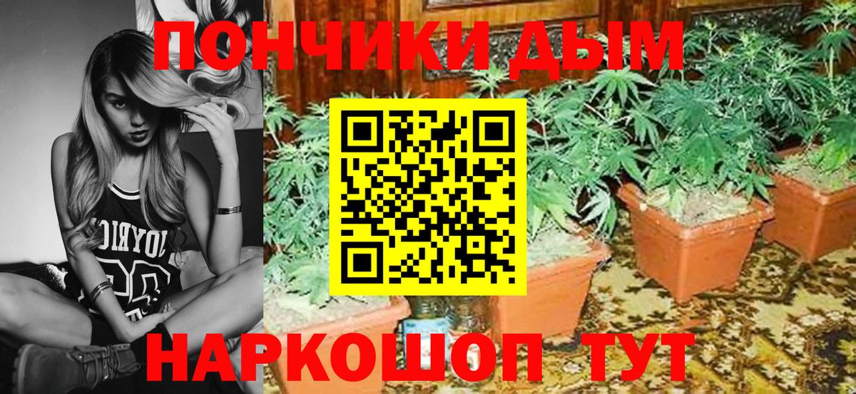 Конопля VHQ Чистополь